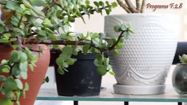 OLYMPUS EP-L3 Test video y Fotos en el 2022 смотреть онлайн