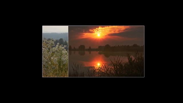 Гуси лебеди летели ... Трогательная песня.#Душевныепесни# смотреть онлайн