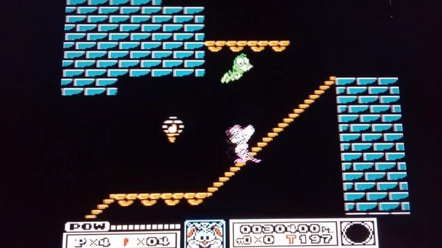 Tiny Toons Adventures (NES) смотреть онлайн