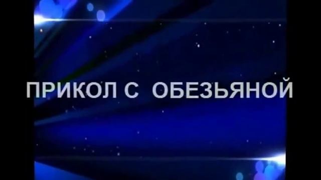 Супер приколы про обезьян