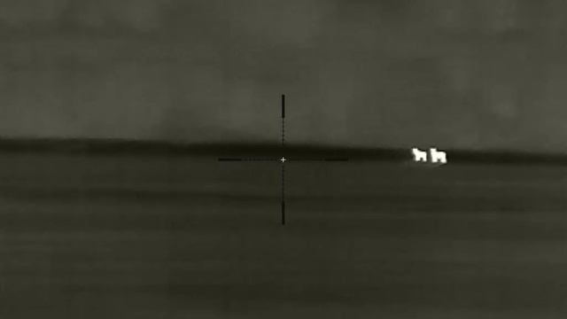 Тепловизор iRay Geny GL 35 #1 Медведи смотреть онлайн