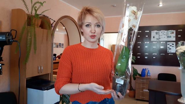 уход за орхидеей смотреть онлайн