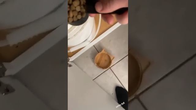 Видео,приколы,юмор,смех смотреть онлайн