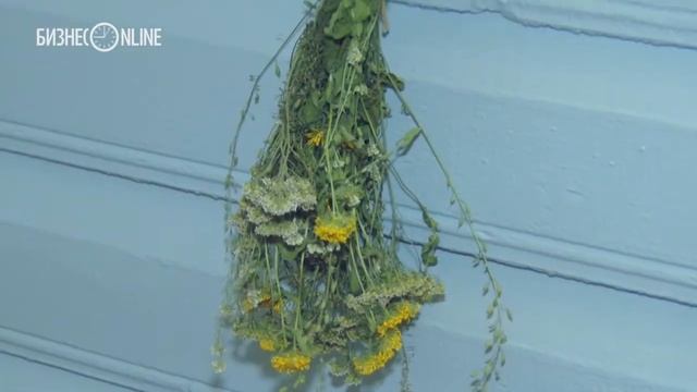 Экскурсия по обновленному Музею Ленина в Казани смотреть онлайн