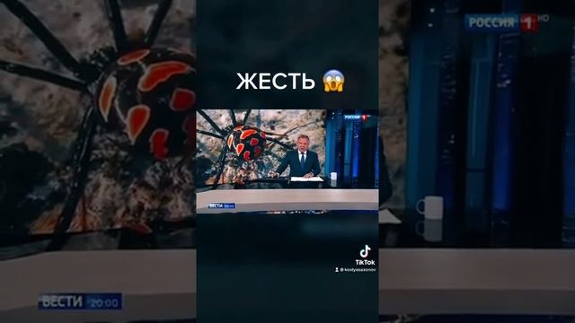 Самые ОПАСНЫЕ пауки в мире атакуют Россию! смотреть онлайн