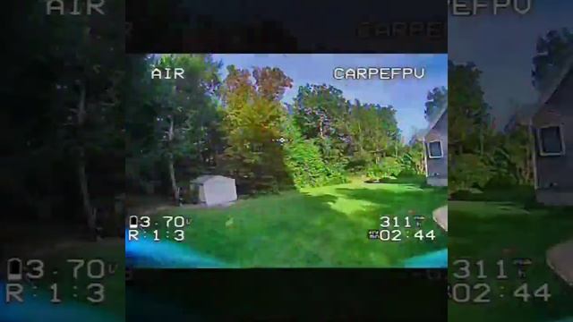 Packs After the Patriots Game смотреть онлайн