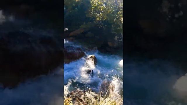 Путешествие -Домбай Горы Могучие привал 2021 начало октября так красиво 🏞 смотреть онлайн