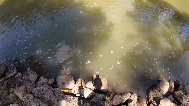 We THOUGHT IT WAS A TURTLE!!! (MONSTER) смотреть онлайн