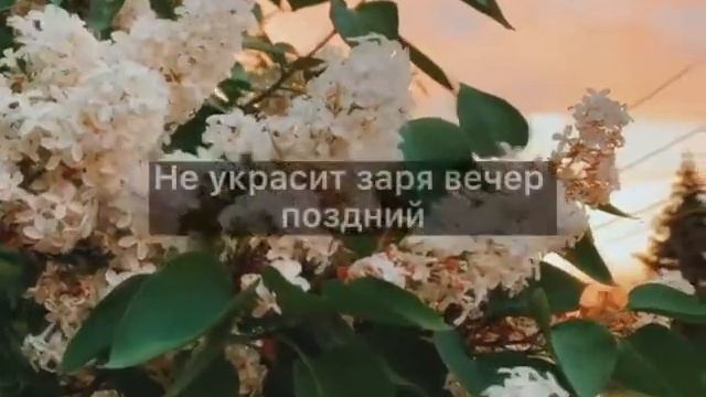 Грустный стих. Светлая грусть. смотреть онлайн