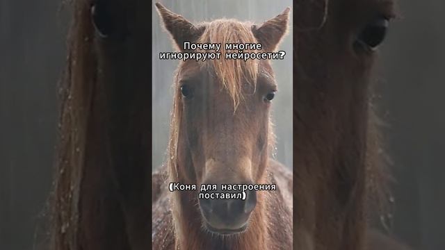 Так почему? #shortvideo #shorts #мем #мемы