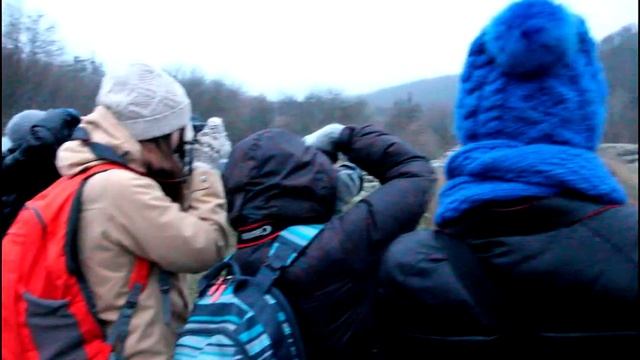 Буки Гранж смотреть онлайн