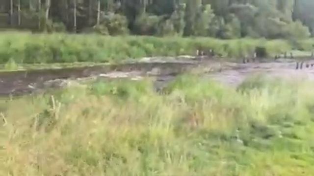 Река Гороховка ... Ленинградская область смотреть онлайн