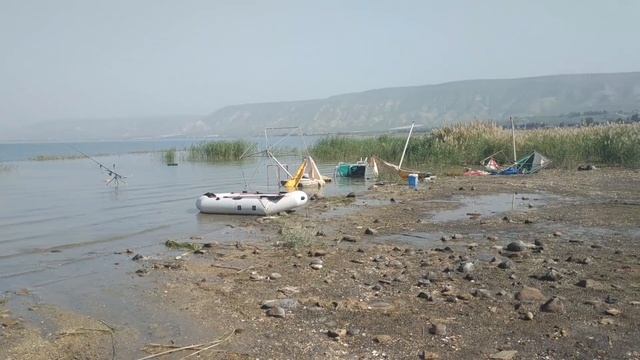 Трофеи озера Кинерет!!! меньше 8кг рыбы нет)!Карп.