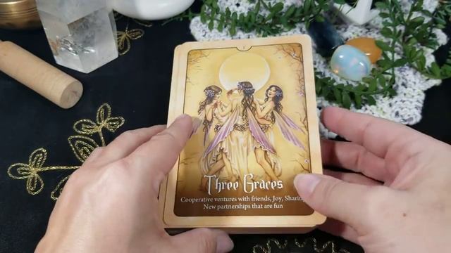 Wild Wisdom of the Faery Oracle Cards Review and Flip Through смотреть онлайн