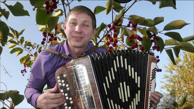 А я несу тебе цветы. кавер.