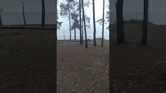 Прогулка по окрестностям Санкт-Петербурга. берег финского залива. смотреть онлайн