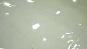 Блесна "Крокодил Большой" от "Колебалка Питер"