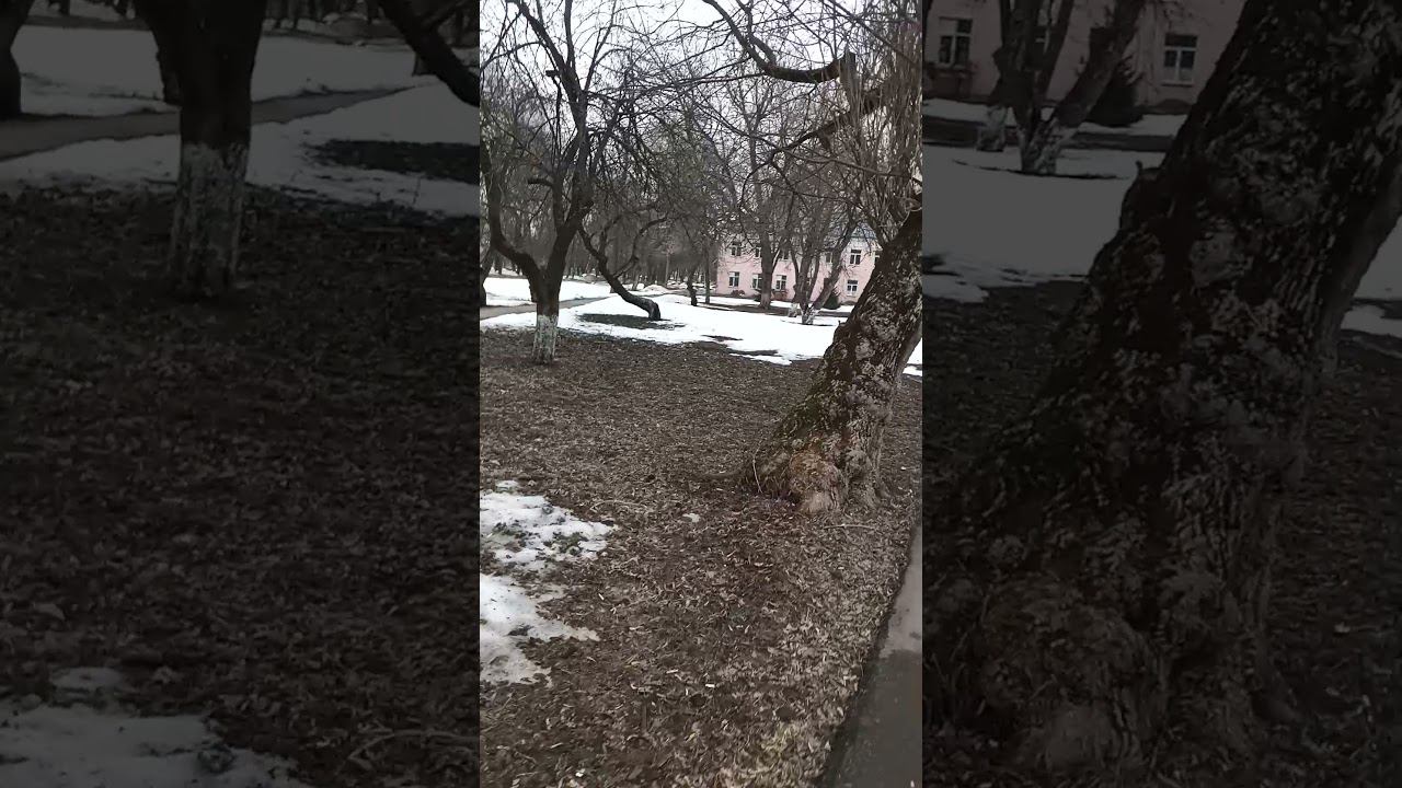 Короткое Видео #8