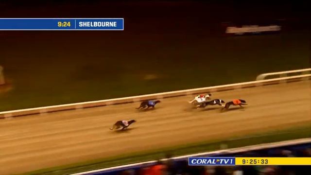 Irish Greyhound Derby Final 2022 смотреть онлайн