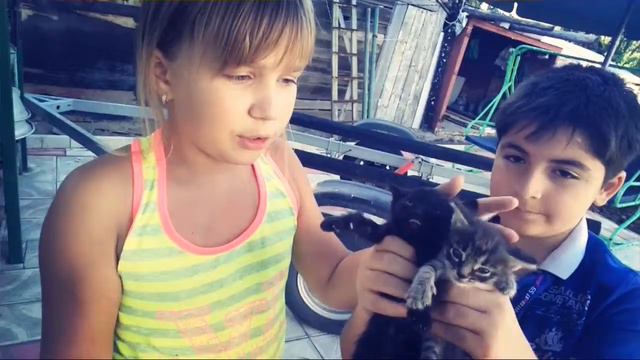 Розыгрыш приз живой👍☺🐈🐱🐈🐱🐈 смотреть онлайн