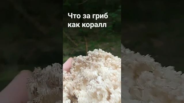 Готовим с умом и вкусом