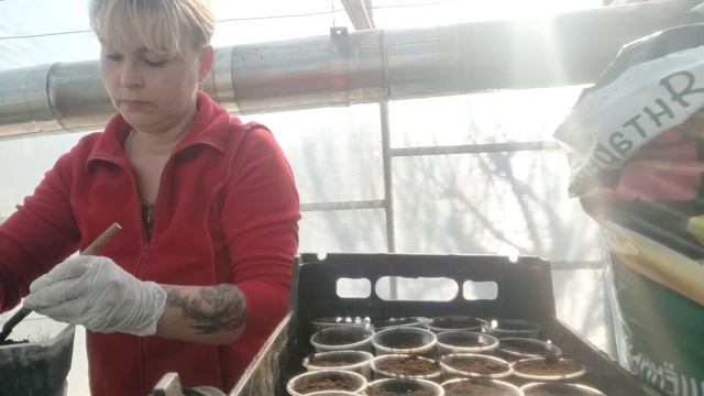 Тепличные работы в начале марта смотреть онлайн