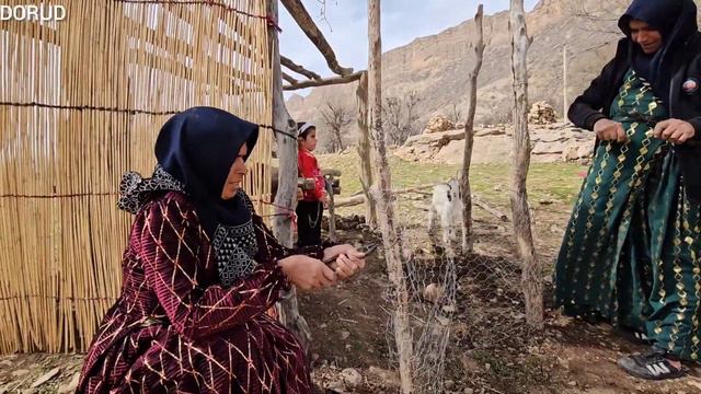 Cooperation between Fariba and the Pregnant Woman to Organize the Akram's Farm смотреть онлайн