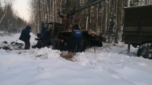 Урал 4320 и Газ 66. Урал-лесовоз провалился в болоте.