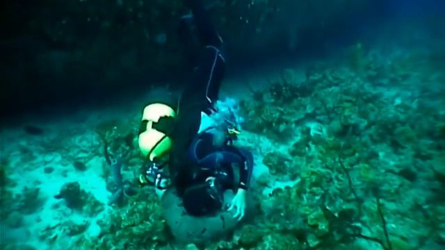Playa giron plongée смотреть онлайн