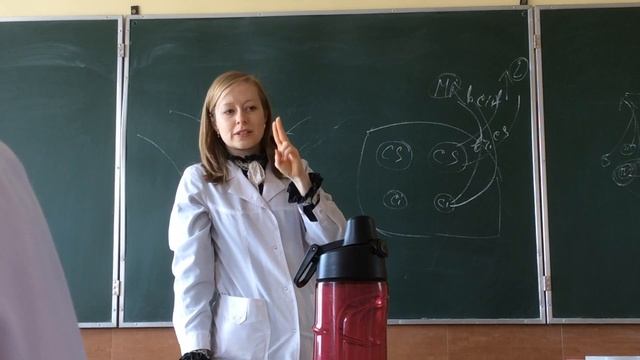 midbrain 1 смотреть онлайн