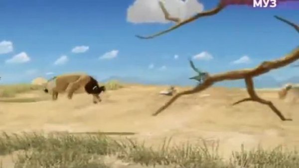 LEON Ошибка Саванны! LEON Error of the Savannah! 07