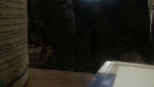 Распилить диван в доме Если некому помочь вынести. Прикол. смотреть онлайн