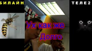 Что будет если перейти с номером билайн в теле2 - Домтвой.рф