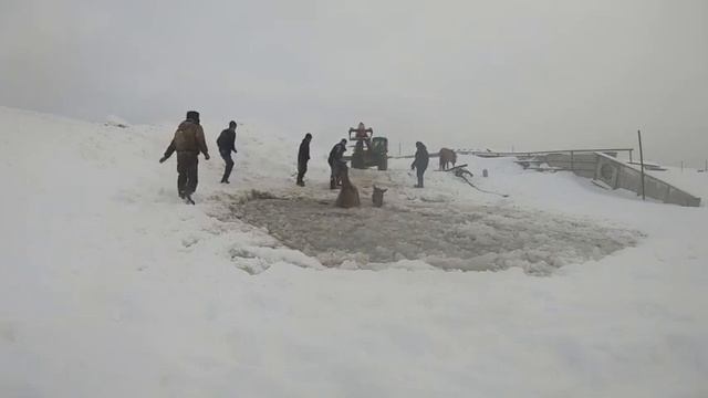 В БАШКИРИИ СПАСЛИ ЛОШАДЕЙ, ПРОВАЛИВШИХСЯ ПОД ЛЁД смотреть онлайн