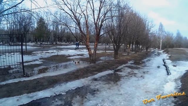 Собака и радиоуправляемая машинка смотреть онлайн