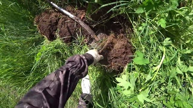 На Патриоте за Металлом!!!Танюшка нашла громадные ЖЕЛЕЗЯКИ!!!Ну очень ЖАРКИЙ ДЕНЁК!!!Лето 2023!!! смотреть онлайн
