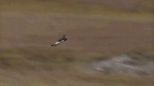 группа Старый приятель Не плачь