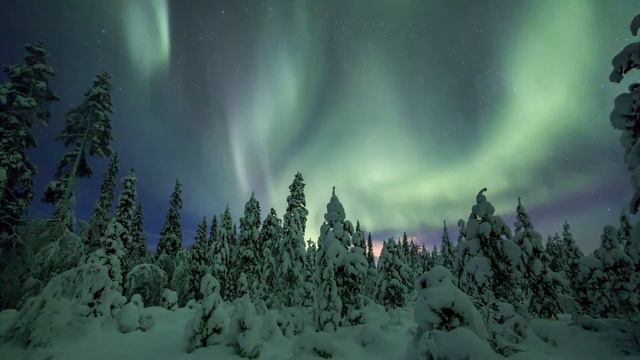 Swan Lake, Op. 20, Act III: No. 22, Danse napolitaine (Audio) смотреть онлайн