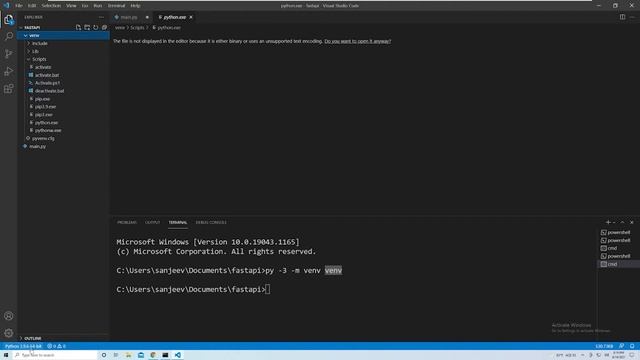Setup Python Virtual Environment on Windows: Part #5 Python API Course смотреть онлайн