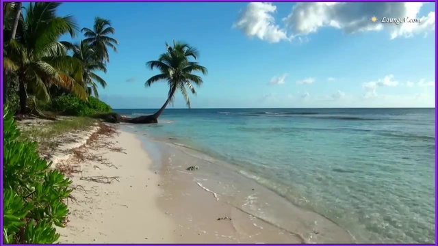 perdido en una playa lejana, muy lejana... смотреть онлайн