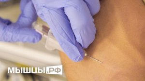 Какие анализы сдавать спортсмену?  Баранов Павел