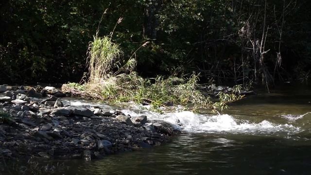 Рыбалка на Красивой реке. Дальний Восток. смотреть онлайн