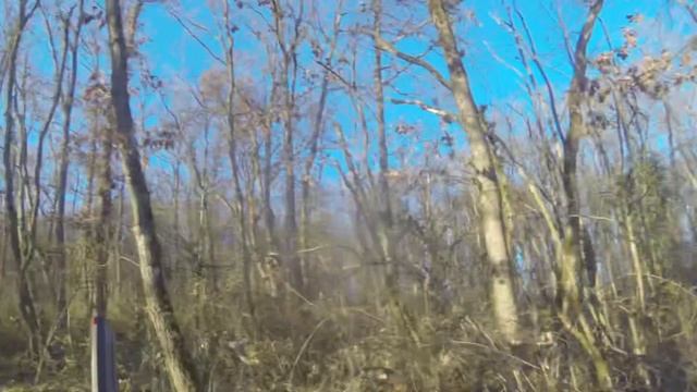 Chasse becasse setter anglais & calibre 20 смотреть онлайн