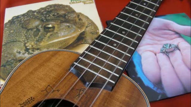 The Rose（ウクレレ演奏　Ukulele Instrumental） смотреть онлайн