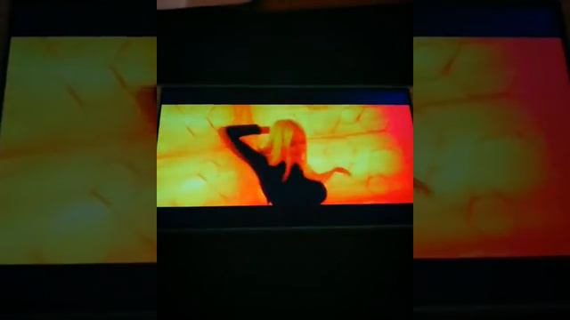 RASA ты пчела Я Пчеловод А мы любим мёд😀