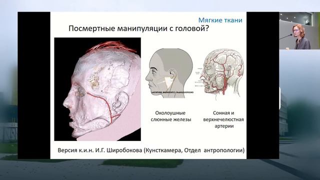 Скрытая под маской: исследование головы мумии из Оглахтинского могильника в южной Cибири смотреть онлайн
