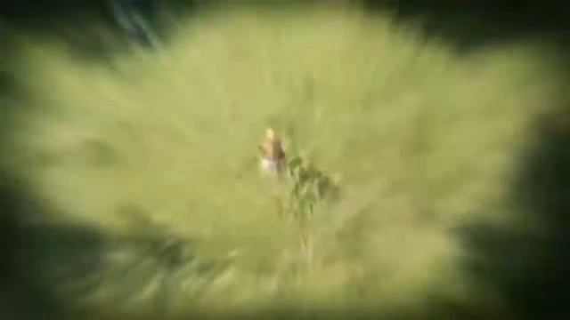 Lineage Eternal Lineage 3 смотреть онлайн