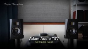 Adam Audio T5V vs Mackie MR524  ||  5 Track Comparison