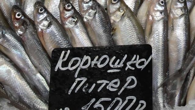 Речные рыбы которые можно не чистить и спокойно есть! смотреть онлайн