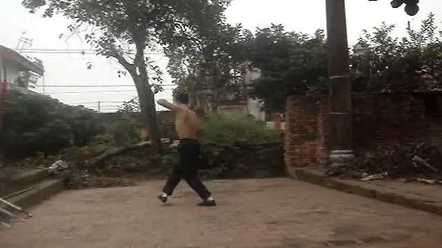 Нэйгун, боевой Цигун (часть 2) смотреть онлайн